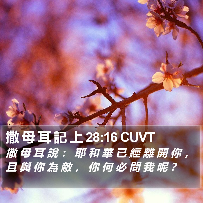 撒 母 耳 記 上 28:16 CUVT Bible Study