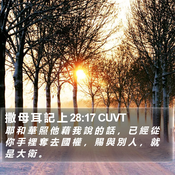 撒 母 耳 記 上 28:17 CUVT Bible Study