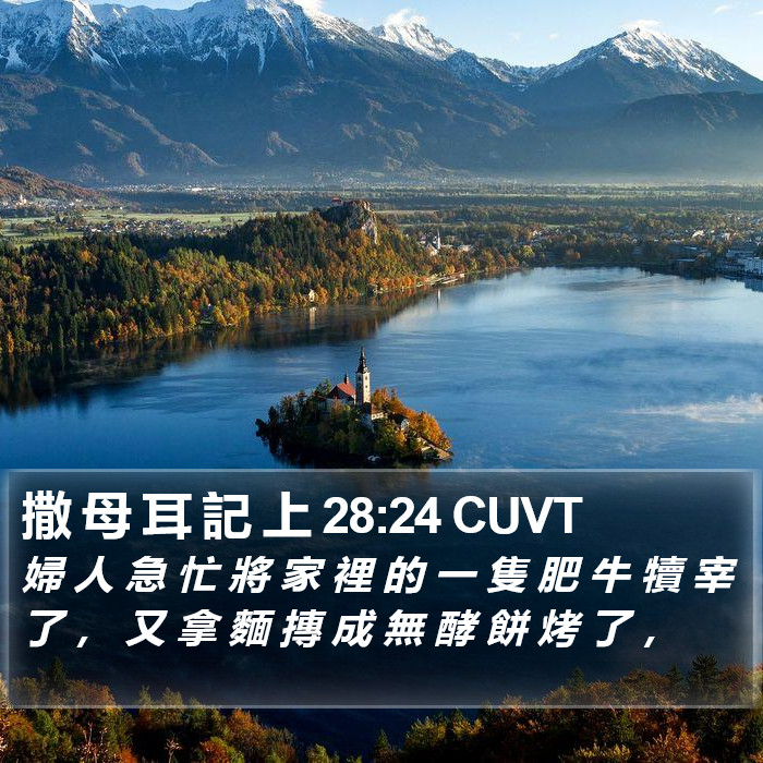 撒 母 耳 記 上 28:24 CUVT Bible Study