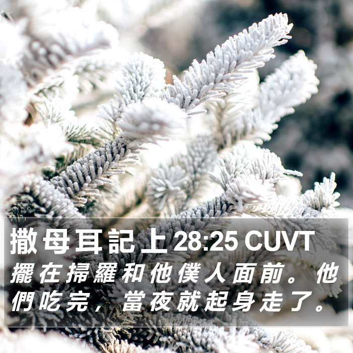 撒 母 耳 記 上 28:25 CUVT Bible Study