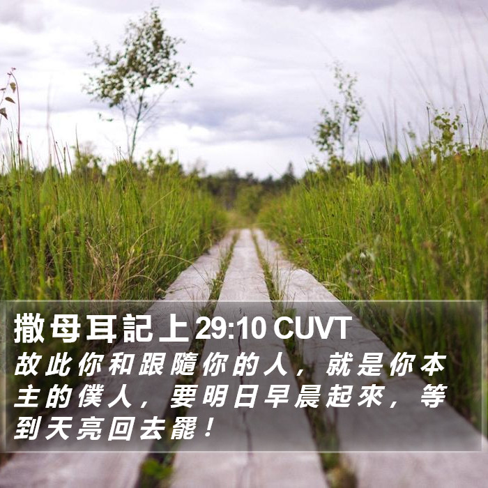 撒 母 耳 記 上 29:10 CUVT Bible Study