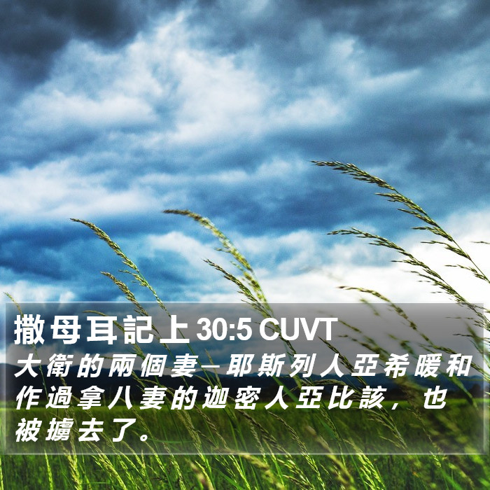 撒 母 耳 記 上 30:5 CUVT Bible Study