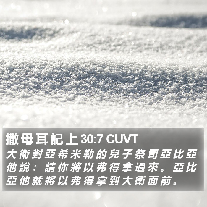 撒 母 耳 記 上 30:7 CUVT Bible Study