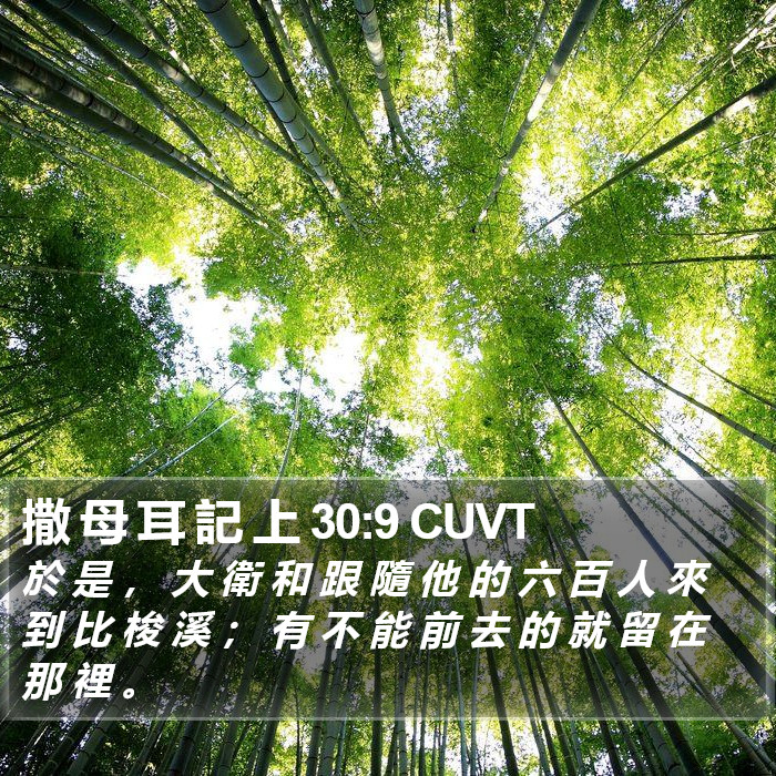 撒 母 耳 記 上 30:9 CUVT Bible Study