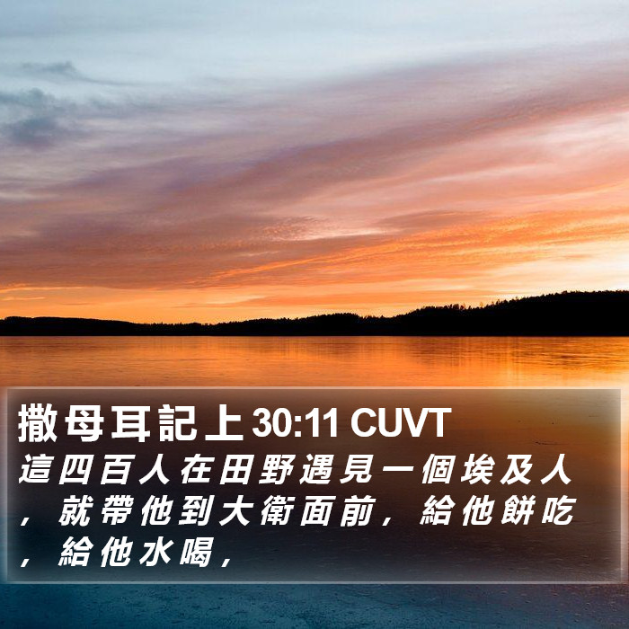 撒 母 耳 記 上 30:11 CUVT Bible Study