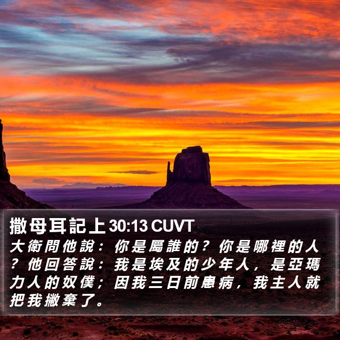 撒 母 耳 記 上 30:13 CUVT Bible Study