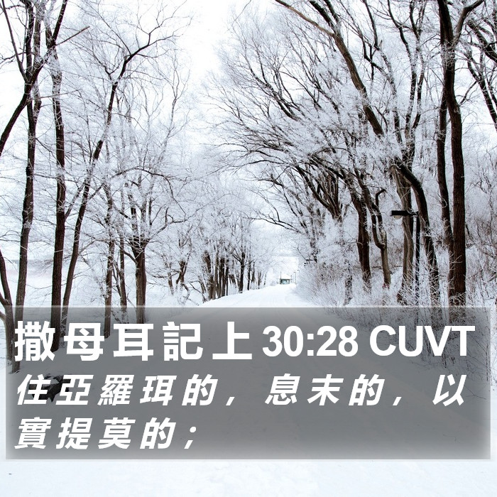 撒 母 耳 記 上 30:28 CUVT Bible Study