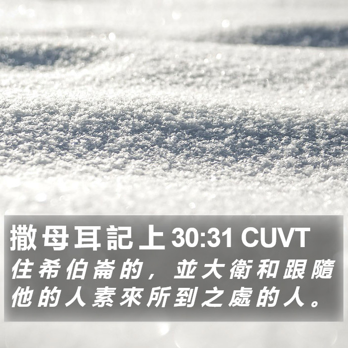 撒 母 耳 記 上 30:31 CUVT Bible Study