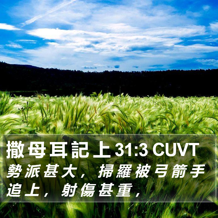 撒 母 耳 記 上 31:3 CUVT Bible Study