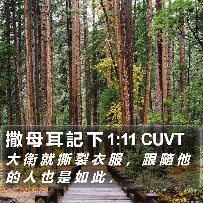 撒 母 耳 記 下 1:11 CUVT Bible Study