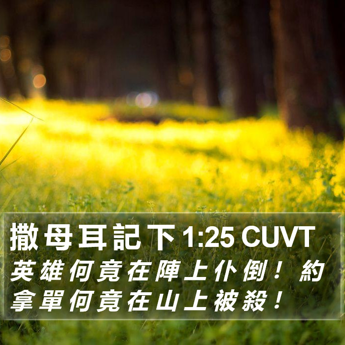 撒 母 耳 記 下 1:25 CUVT Bible Study