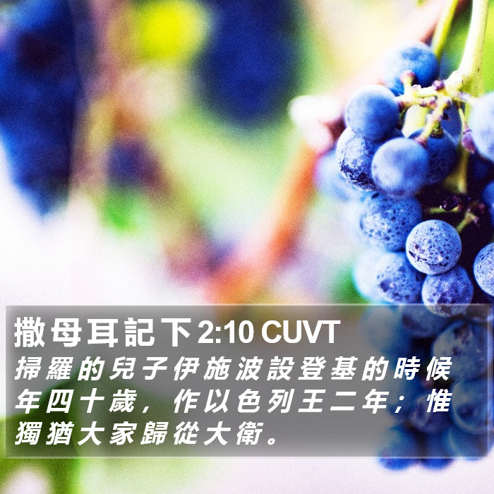 撒 母 耳 記 下 2:10 CUVT Bible Study