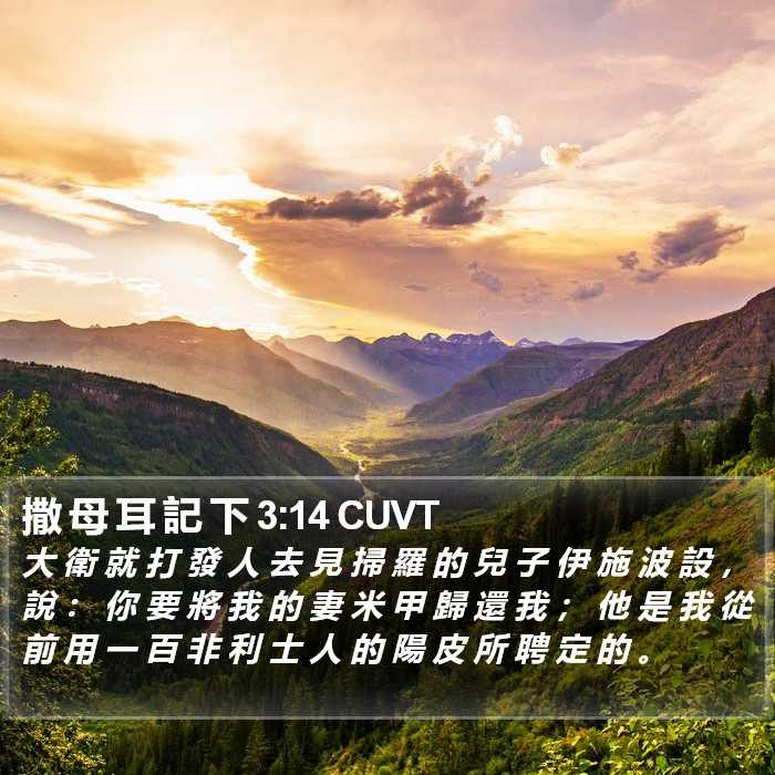 撒 母 耳 記 下 3:14 CUVT Bible Study