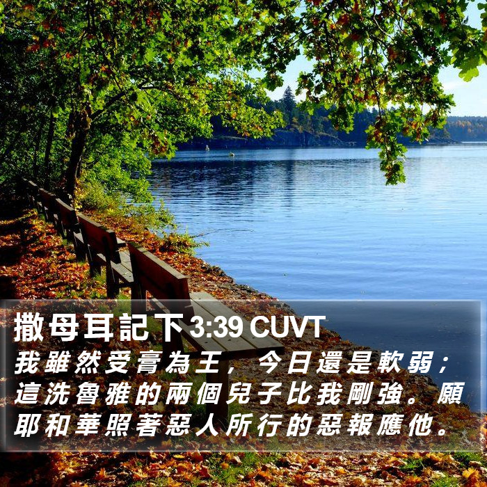 撒 母 耳 記 下 3:39 CUVT Bible Study