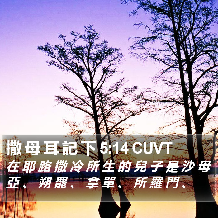 撒 母 耳 記 下 5:14 CUVT Bible Study