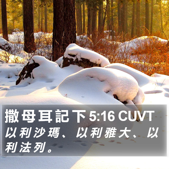 撒 母 耳 記 下 5:16 CUVT Bible Study