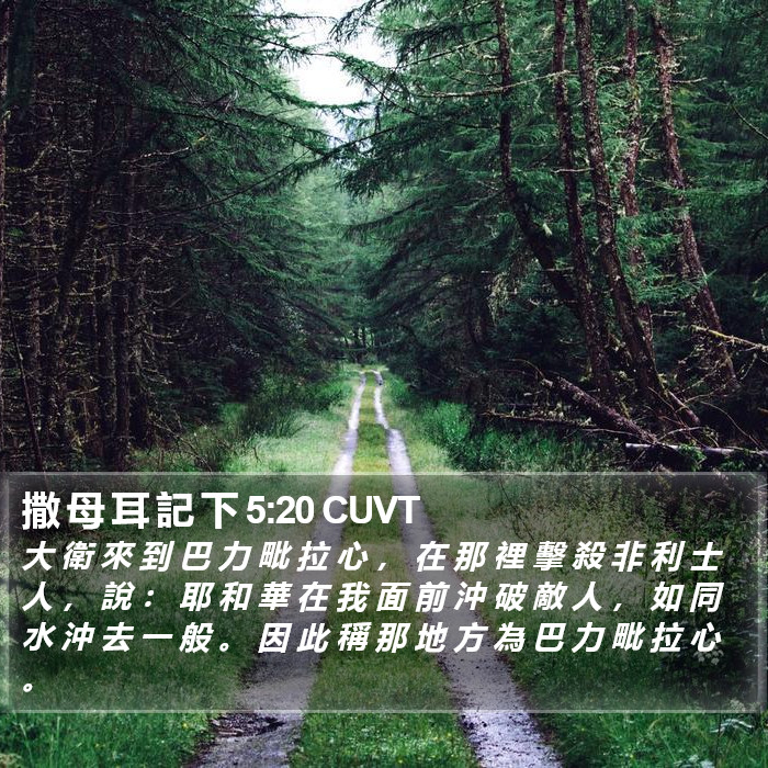 撒 母 耳 記 下 5:20 CUVT Bible Study