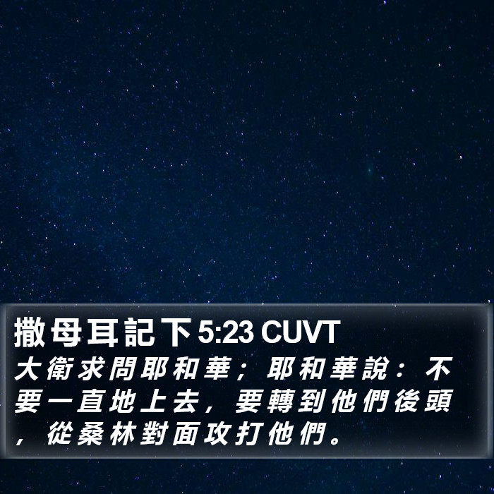 撒 母 耳 記 下 5:23 CUVT Bible Study