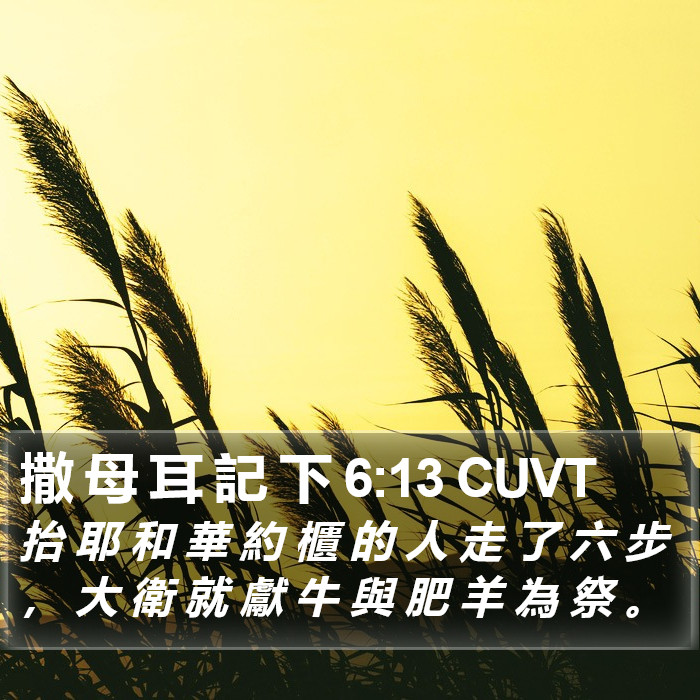 撒 母 耳 記 下 6:13 CUVT Bible Study