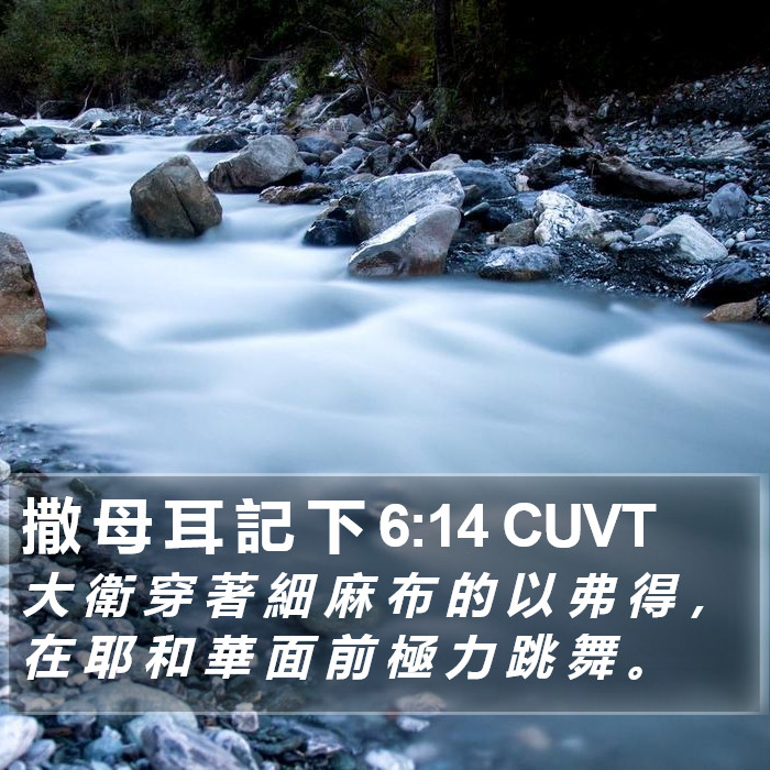 撒 母 耳 記 下 6:14 CUVT Bible Study