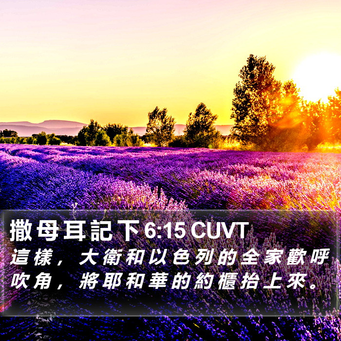 撒 母 耳 記 下 6:15 CUVT Bible Study