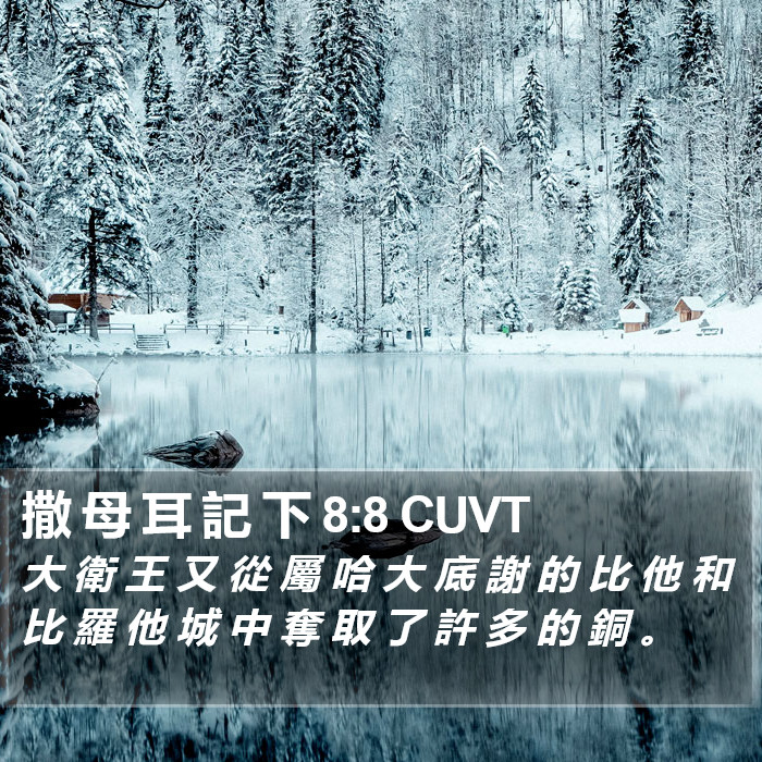 撒 母 耳 記 下 8:8 CUVT Bible Study