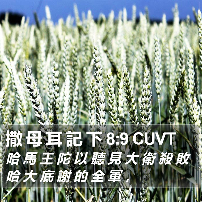 撒 母 耳 記 下 8:9 CUVT Bible Study