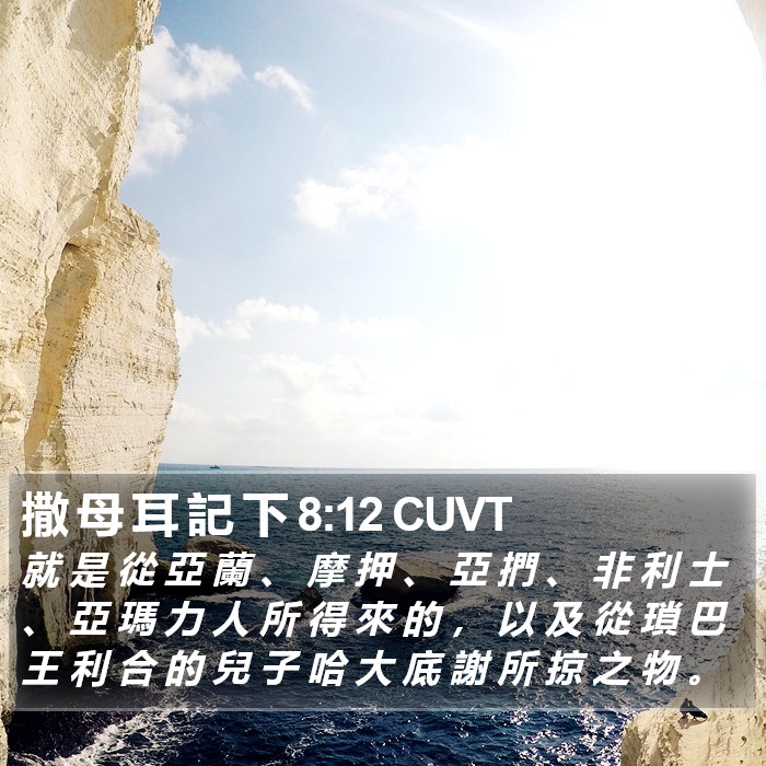 撒 母 耳 記 下 8:12 CUVT Bible Study