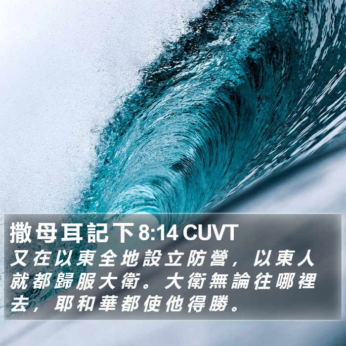 撒 母 耳 記 下 8:14 CUVT Bible Study