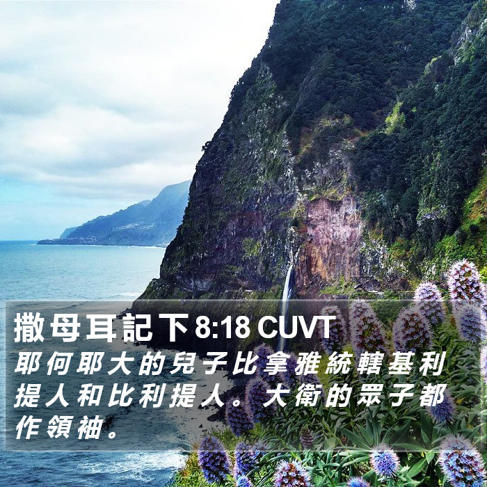 撒 母 耳 記 下 8:18 CUVT Bible Study