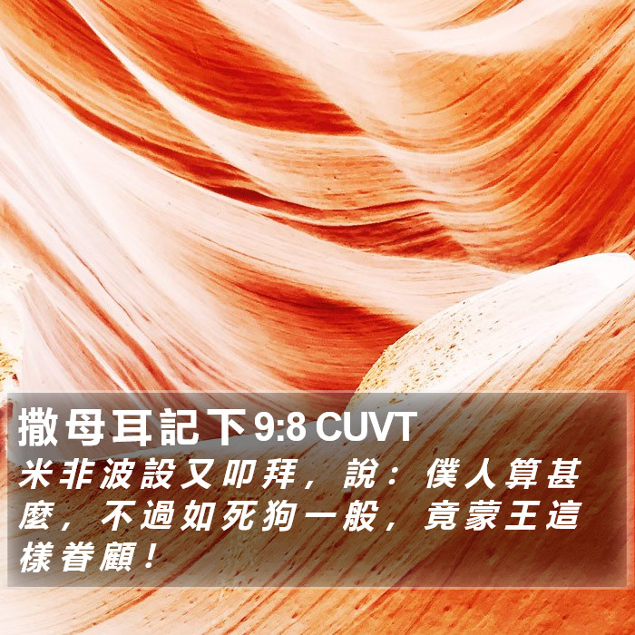 撒 母 耳 記 下 9:8 CUVT Bible Study