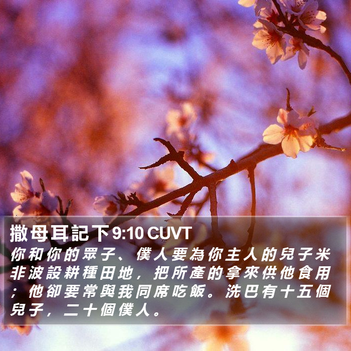 撒 母 耳 記 下 9:10 CUVT Bible Study