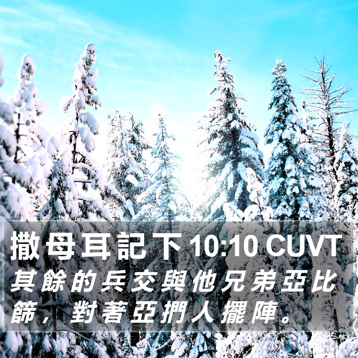 撒 母 耳 記 下 10:10 CUVT Bible Study