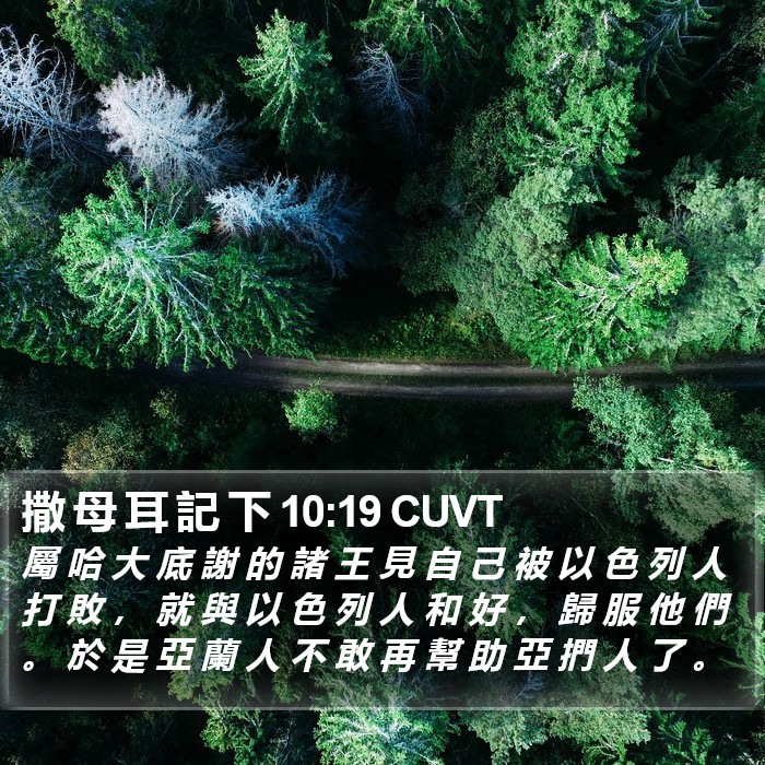 撒 母 耳 記 下 10:19 CUVT Bible Study