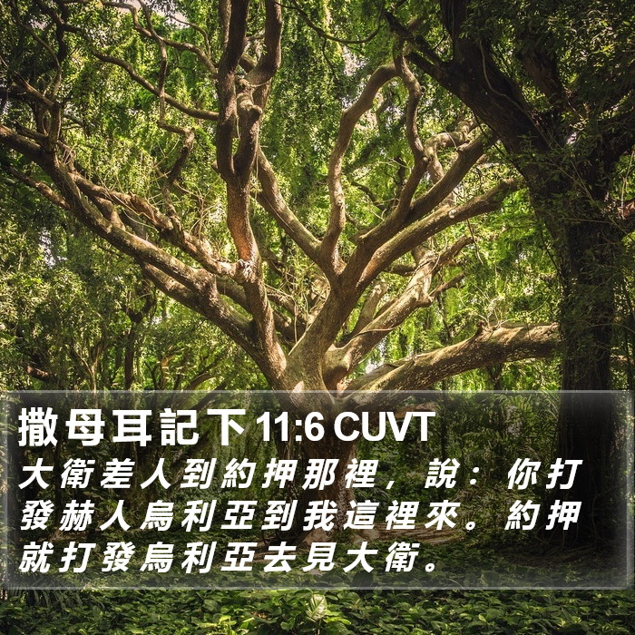 撒 母 耳 記 下 11:6 CUVT Bible Study