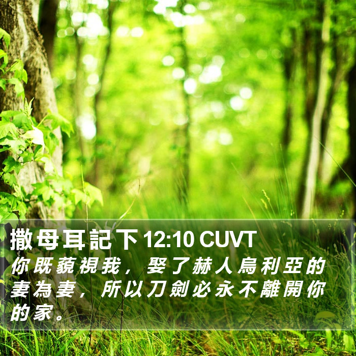 撒 母 耳 記 下 12:10 CUVT Bible Study