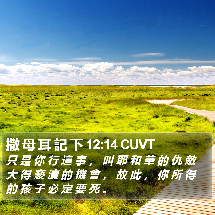 撒 母 耳 記 下 12:14 CUVT Bible Study