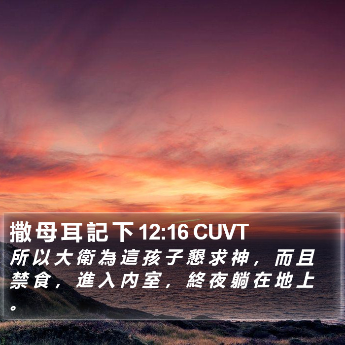 撒 母 耳 記 下 12:16 CUVT Bible Study