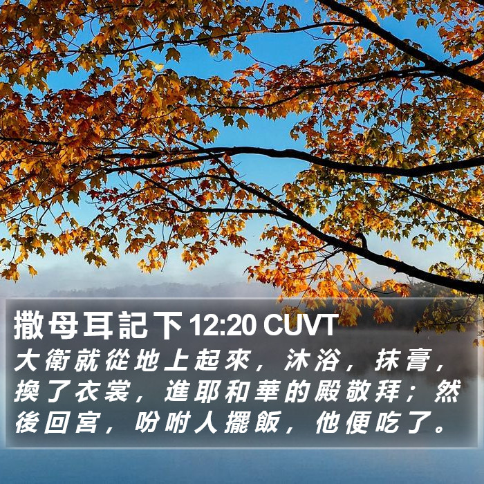 撒 母 耳 記 下 12:20 CUVT Bible Study