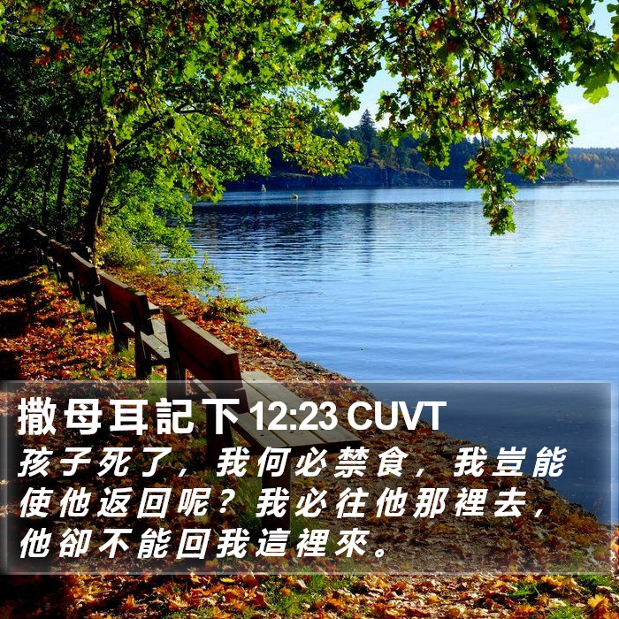 撒 母 耳 記 下 12:23 CUVT Bible Study