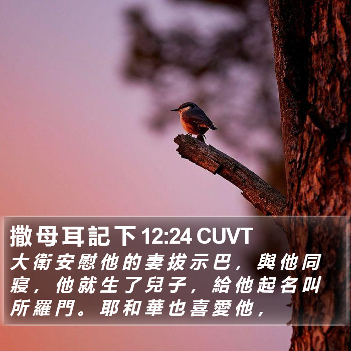 撒 母 耳 記 下 12:24 CUVT Bible Study