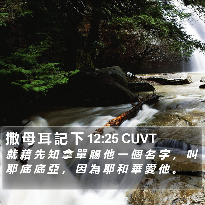 撒 母 耳 記 下 12:25 CUVT Bible Study