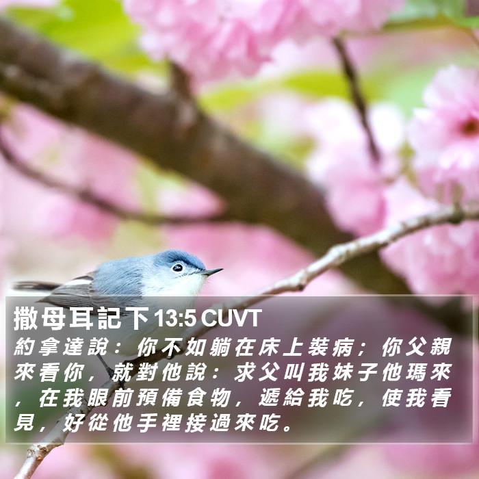撒 母 耳 記 下 13:5 CUVT Bible Study