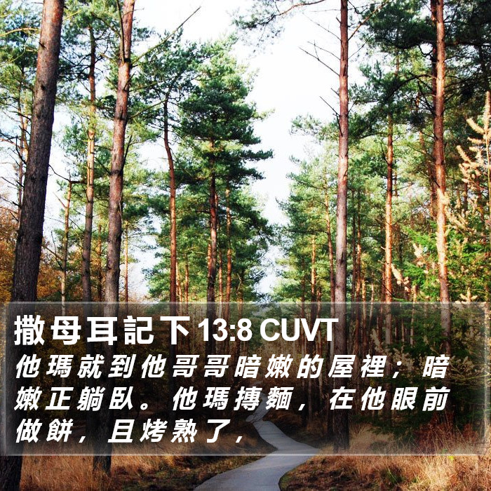撒 母 耳 記 下 13:8 CUVT Bible Study