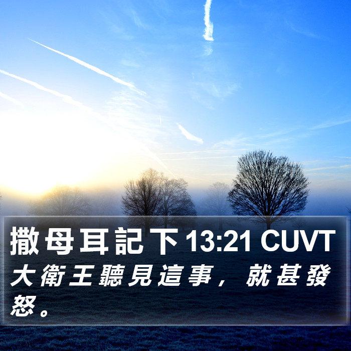 撒 母 耳 記 下 13:21 CUVT Bible Study