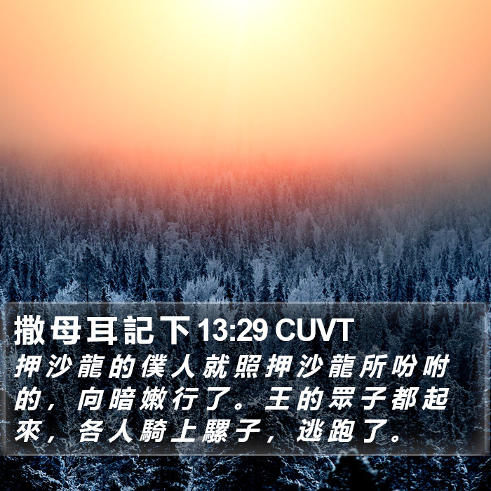 撒 母 耳 記 下 13:29 CUVT Bible Study