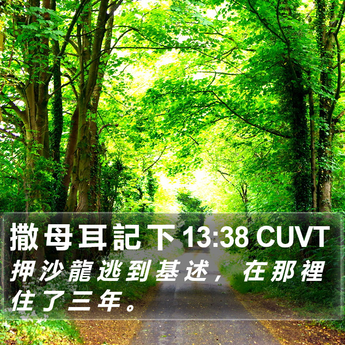 撒 母 耳 記 下 13:38 CUVT Bible Study