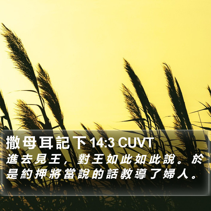 撒 母 耳 記 下 14:3 CUVT Bible Study