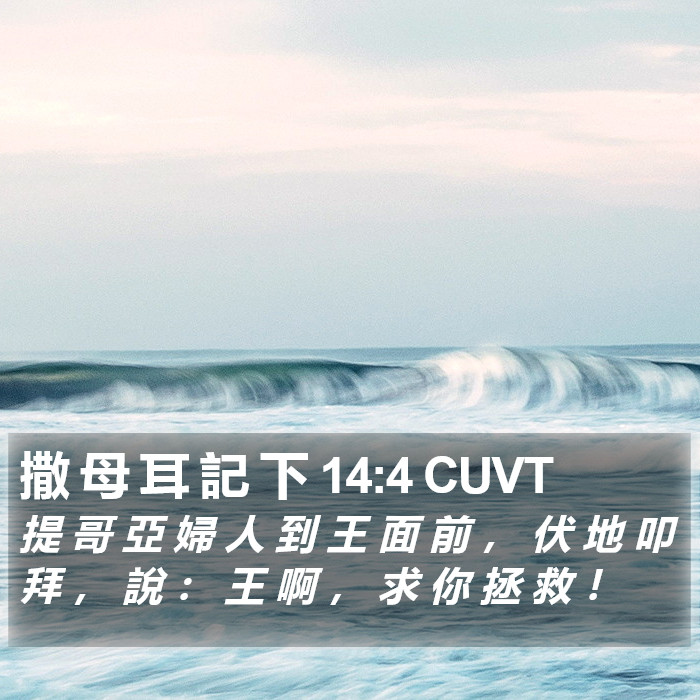 撒 母 耳 記 下 14:4 CUVT Bible Study