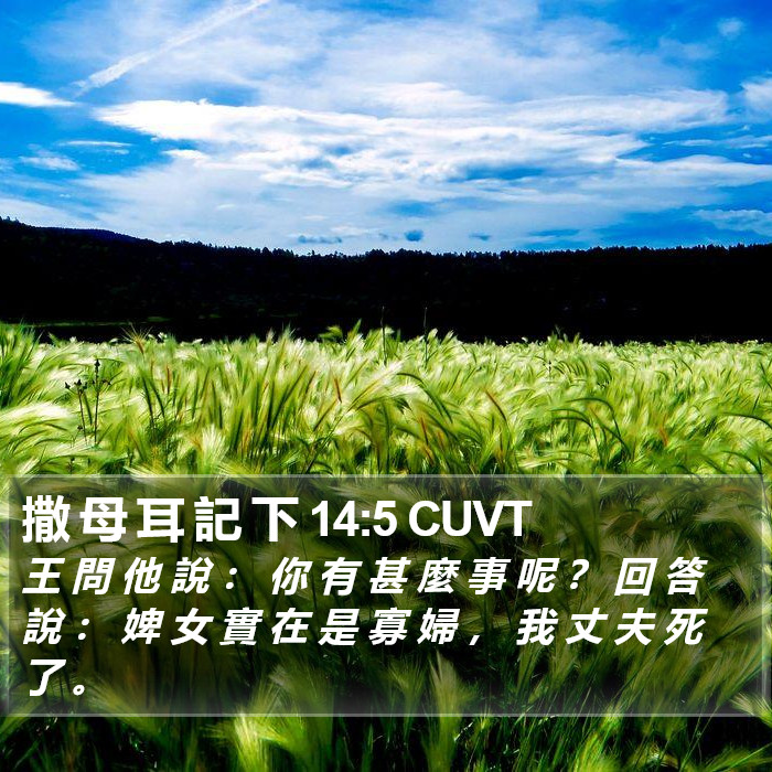 撒 母 耳 記 下 14:5 CUVT Bible Study